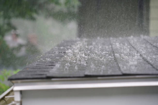 Best Cold Roofs  in Laguna Heights, TX