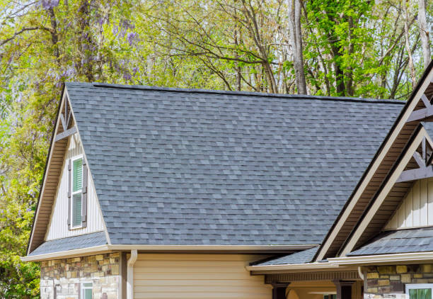 Best Chimney Flashing Repair  in Laguna Heights, TX