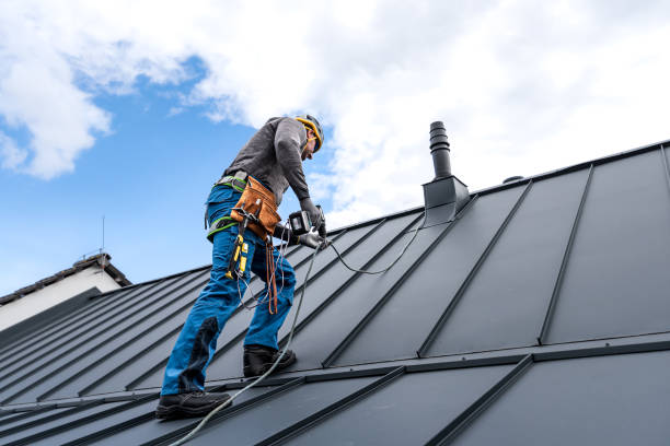 Best Steel Roofing  in Laguna Heights, TX