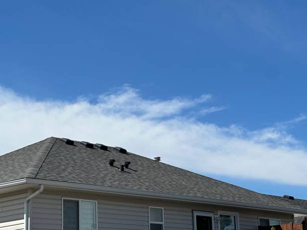 Best Skylight Installation and Repair  in Laguna Heights, TX